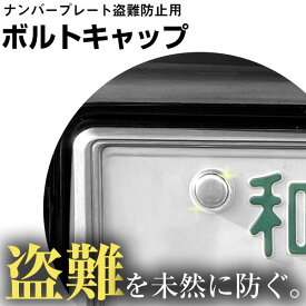 ナンバーフレーム ボルト キャップ 4点セット 車 軽自動車 錆びにくいステンレス製 盗難防止にも ナンバー ネジ カバー 受け 保護 蓋 フタ ドレスアップ 普通車 ナンバープレート 4個セット 対策 防犯