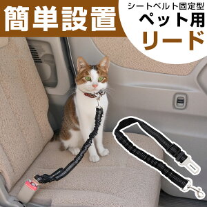 yybg̈SmہIzybgp[h [h L[h ybgp ybgpV[gxg Lk S  L Ԑp[h Z[teB[ S Sxg  㕔 hCu s 