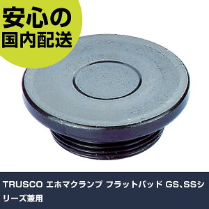 TRUSCO Gz}Nv tbgpbh GSASSV[Yp GSSS-FP H p p ƍH ϋv vp g₷