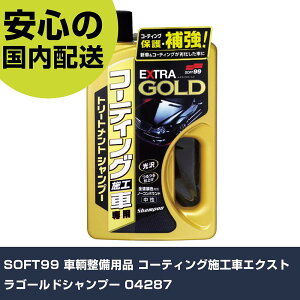 SOFT99 qpi R[eBO{HԃGNXgS[hVv[ 04287 ƍH qpi ԗpi Ɩp vdl ƌ @l H