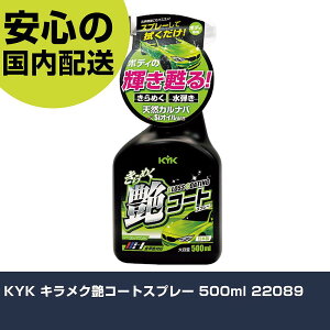 KYK LNR[gXv[ 500ml 22089 ƍH qpi qpbNX Ɩp vdl ƌ @l H