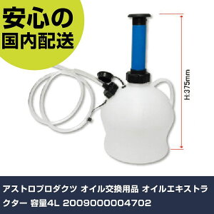 AXgv_Nc ICpi ICGLXgN^[ e4L 2009000004702 ƍH qpi qpH Ɩp vdl ƌ @l H