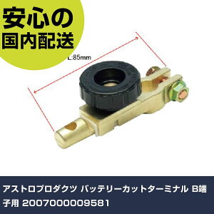 AXgv_Nc obe[Jbg^[~i B[qp 2007000009581 ƍH qpi qpH Ɩp vdl ƌ @l H