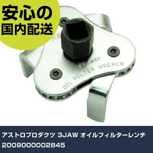 AXgv_Nc 3JAW ICtB^[` 2009000002845 ƍH qpi GW֘ApH Ɩp vdl ƌ @l H