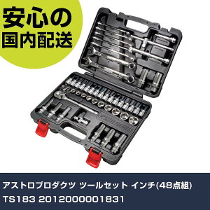 AXgv_Nc c[Zbg C`(48_g) TS183 2012000001831 ƍH HZbg 񂰃^Cv Ɩp vdl ƌ @l H