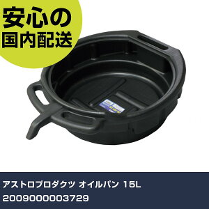 AXgv_Nc ICp 15L 2009000003729 ƍH qpi qpH Ɩp vdl ƌ @l H