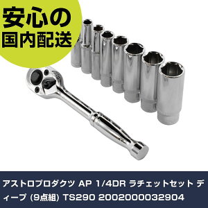 AXgv_Nc AP 1/4DR `FbgZbg fB[v (9_g) TS290 2002000032904 ƍH \Pbg` `Fbgnh Ɩp vdl ƌ @l H