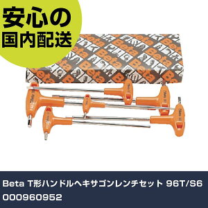 Beta T`nhwLTS`Zbg 96T/S6 000960952 ƍH hCo[EZp_` Zp_` Ɩp vdl ƌ @l H