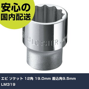 Gr \Pbg 12p 19.0mm p9.5mm LM319 ƍH \Pbg` \Pbg Ɩp vdl ƌ @l H