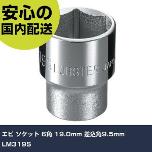 Gr \Pbg 6p 19.0mm p9.5mm LM319S ƍH \Pbg` \Pbg Ɩp vdl ƌ @l H