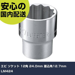 Gr \Pbg 12p 24.0mm p12.7mm LM424 ƍH \Pbg` \Pbg Ɩp vdl ƌ @l H