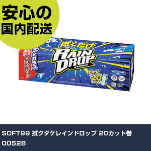 SOFT99 @N_PChbv 20Jbg 00528 ƍH qpi ԗpi Ɩp vdl ƌ @l H