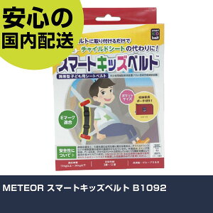 METEOR X}[gLbYxg B1092 ƍH qpi qpi Ɩp vdl ƌ @l H
