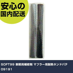 SOFT99 qpC }t[pϔMlhpe 09191 ƍH qpi qpC Ɩp vdl ƌ @l H