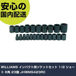 WILLIAMS CpNgp\PbgZbg 1/2 V[g 6p 23 JHWMS423RC ƍH \Pbg` CpNgp\Pbg Ɩp vdl ƌ @l H