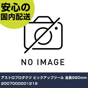 AXgv_Nc sbNAbvc[ S920mm 2007000001219 ƍH qpi qpH Ɩp vdl ƌ @l H