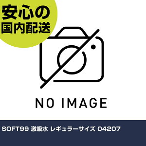 SOFT99 z M[TCY 04207 ƍH qpi ԗpi Ɩp vdl ƌ @l H