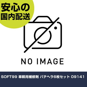 SOFT99 qpC pew6Zbg 09141 ƍH qpi qpC Ɩp vdl ƌ @l H