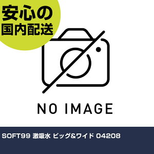 SOFT99 z rbO&Ch 04208 ƍH qpi ԗpi Ɩp vdl ƌ @l H
