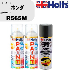 �� �h�� �X�v���[ �z���_ R565M �y�C���g�X�v���[+�v���T�t�O���[(MH11503)�Z�b�g �J���[�X�v���[ �z���c MINMIX �~�j�~�b�N�X �I�[�_�[�J���[ ��C �J�[�y�C���g�yTU&SP�z