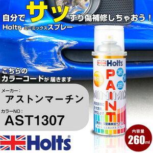 �� �h�� �X�v���[ �A�X�g���}�[�`�� AST1307 MERCEDES BENZ DESIGNO SILVER Holts �y�C���g�X�v���[ �z���c MINMIX �~�j�~�b�N�X �J���[�X�v���[ �I�[�_�[�J���[�� ������ �L�Y �����yTU&SP�z(�X�v���[)