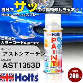 車 塗装 スプレー アストンマーチン AST1353D ONYX BLACK Holts ペイントスプレー ホルツ MINMIX ミニミックス カラースプレー オーダーカラー車 傷消し キズ 直し【TU&SP】(スプレー)
