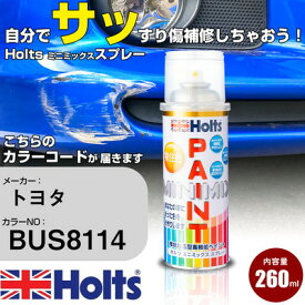 車 塗装 スプレー トヨタ BUS8114 ライトターコイズ Holts ペイントスプレー ホルツ MINMIX ミニミックス カラースプレー オーダーカラー車 傷消し キズ 直し【TU&SP】(スプレー)