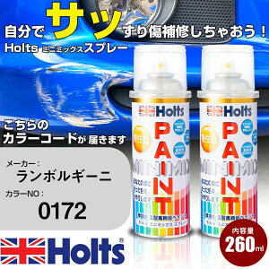  h Xv[ {M[j 0172 VIOLAPASIFAE Holts yCgXv[ zc MINMIX ~j~bNX J[Xv[ I[_[J[  LY yTU&SPz(Xv[)