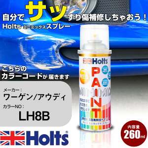 �� �h�� �X�v���[ ���[�Q��/�A�E�f�B LH8B ASSUANBRAUN Holts �y�C���g�X�v���[ �z���c MINMIX �~�j�~�b�N�X �J���[�X�v���[ �I�[�_�[�J���[�� ������ �L�Y �����yTU&SP�z(�X�v���[)