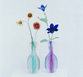 [D-BROS公式サイト] Flowervase　フラワーベース　ジェリーグレープ　ビニール製の花瓶　美しいグラデーションのデザイン 　一輪挿し　花器　プチギフト　おしゃれ／D-BROS
