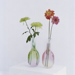 [D-BROSTCg] Flowervase@t[x[X@WF[s[`@rj[̉ԕr@֑}@Ԋ@v`Mtg@@Of[ṼfUC^D-BROS