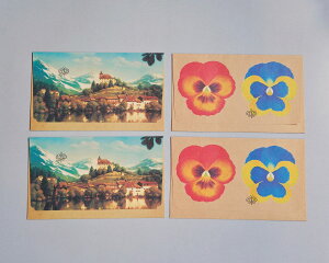 yD-BROSTCgzzeo^tCiHotel Butterflyj@4ipW[2{iF2j@̃`[t^D-BROS