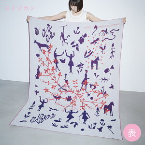 siesta VGX^@gvK[[LL D-BROS fB[uX CeA t@ubN \t@ xbhJo[ Ђ| }`NX  K[[Pbg Q