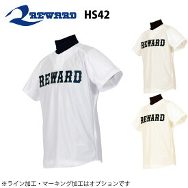 レワード 野球 ユニフォーム オーダー ブライトダイヤ 2ボタンシャツ背番号・ネーム他 マーキング できます【別料金】 HS-42