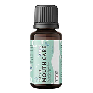 hN^[Y`CX eB[c[}EXPAvX