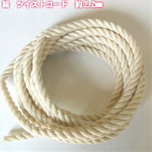 yS5TCYzȃR[h cCXgR[h ( QR )  2.2mm@5mi5336)   ٖD  R В 񂿂Ⴍ Ђ R }N R Ђ q | |ޗ  Â Rbg 