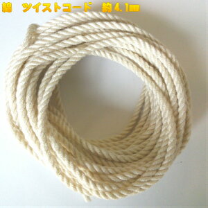 yS5TCYzȃR[h cCXgR[h ( QR )  4.1mm@2mi5337)   ٖD  R В 񂿂Ⴍ Ђ R }N R Ђ q | |ޗ  Â Rbg 