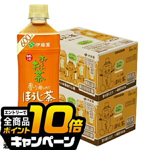 ȂƑSi10{IivGg[j [  ɓ ` ق 600ml×2P[X/48{s048twITOx