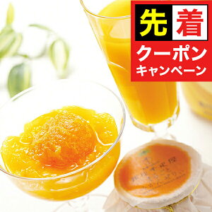 y̏I撅N[|z W[X  Mtg Zbg lߍ킹 uDv}S[hN܂邲Ƃ݂񂺂股 0820054wSKTx 񂹃O a