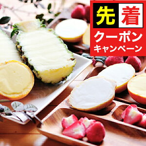 y̏I撅N[|z Mtg ACX XC[c 4܂邲ƉʎACXl Ⓚ 1780007wSKTx lߍ킹 񂹃O Zbg a j j 蕨 