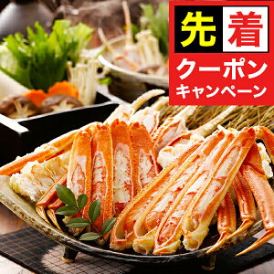 y}\撅N[|z Mtg I Jj {C킢ɋr Ⓚ 3440531wSKTx lߍ킹 񂹃O Zbg a j j 蕨 