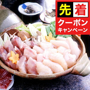 y̏I撅N[|z Mtg  Zbg CYӂ Ⓚ 4660068wSKTx lߍ킹 񂹃O Zbg a j j 蕨 