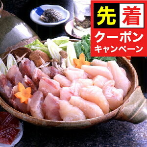 y̏I撅N[|z Mtg  Zbg CYӂ Ⓚ 4660100wSKTx lߍ킹 񂹃O Zbg a j j 蕨 