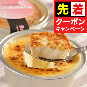 y̏I撅N[|z Mtg XC[c Zbg lߍ킹 kC \J^[i Ⓚ 5000138wSKTx 񂹃O a j j 蕨 3000~ 