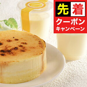 y̏I撅N[|z Mtg v XC[c Zbg lߍ킹 kC \t}[Wut}[Wv Ⓚ 5000172wSKTxΕ a j 