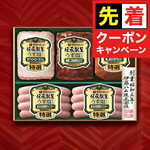 y̏I撅N[|zΕ 2025 n Mtg Zbg [Xn  ɓn {GMU-43 `}wITHx ~Mtg N N v[g 蕨 HiMtg Ε