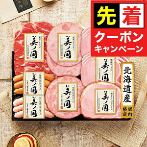 y}\撅N[|zy\zy2025N1120ȍ~zΕ 2025 n Mtg Zbg [Xn  {n {UKH-48 m}wNHHx {nMtg ~Mtg N 