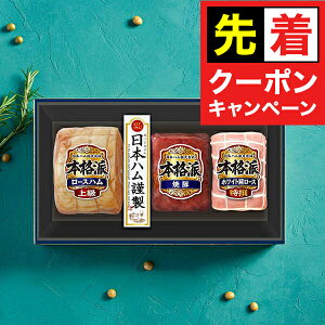 y}\撅N[|zy\zy2025N1120ȍ~zΕ 2025 n Mtg Zbg [Xn  {n {NH-513 {ihZbg}wNHHx{nMtg ~Mtg 