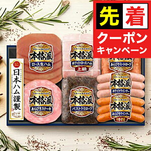 y}\撅N[|zy\zy2025N1120ȍ~zΕ 2025 n Mtg Zbg [Xn  {n {NH-519 {ihZbg}wNHHx{nMtg ~Mtg 