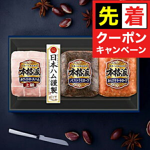 y}\撅N[|zy\zy2025N1120ȍ~zΕ 2025 n Mtg Zbg [Xn  {n {NH-337 {ih}wNHHx {nMtg ~Mtg N 